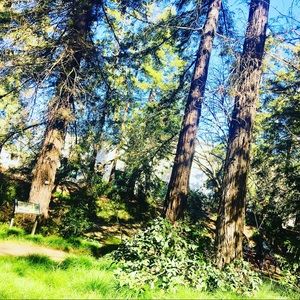 Meet your Posher, Leilany